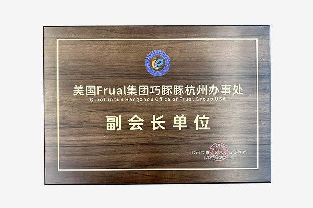 杭州市临平区电子商务协会-副会长单位