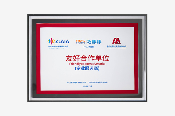 中山市跨境电子商务协会 专业服务商